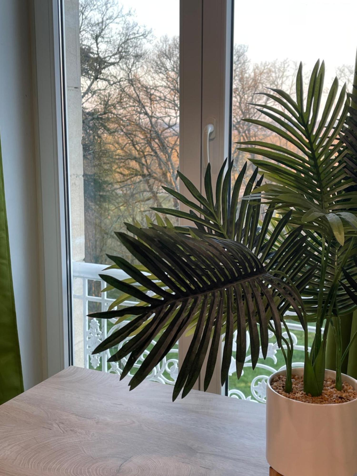 T2 De Charme Dans Un Chateau Layrac Eksteriør bilde